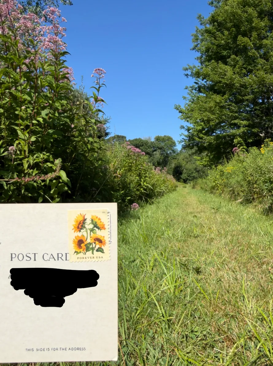 Order email image for postcard #136, personal details redacted