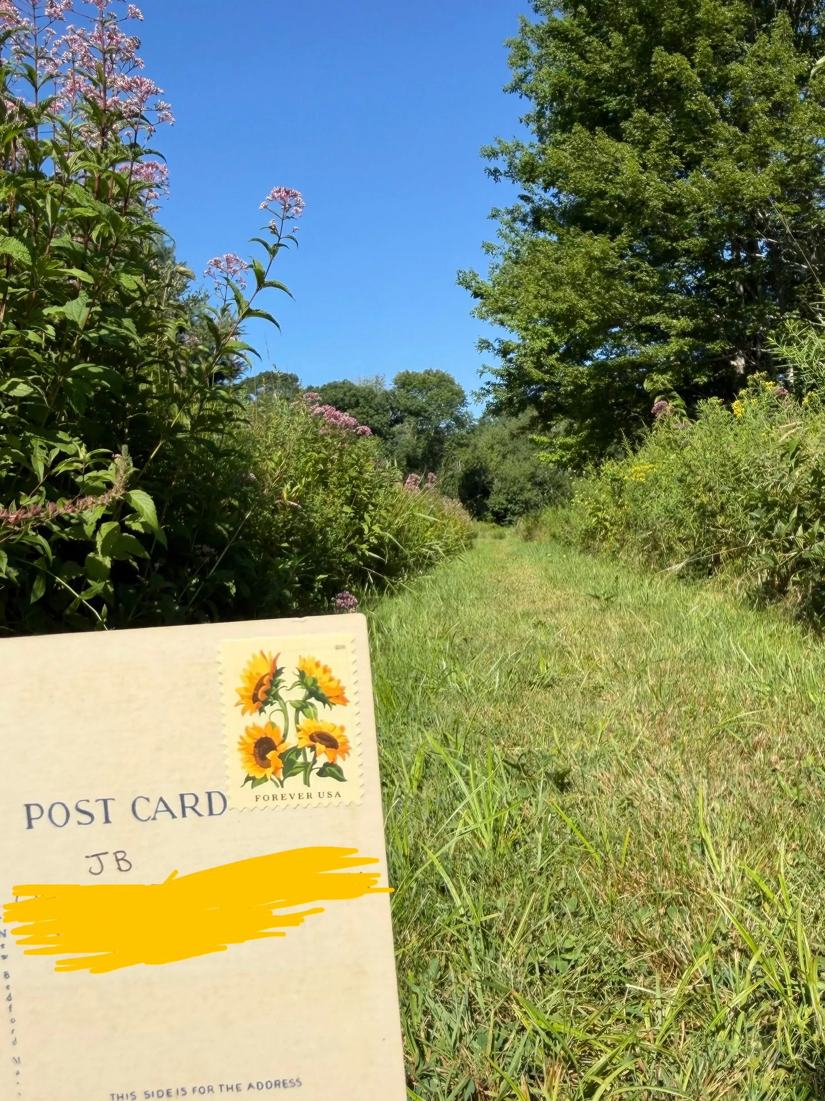 Postcard #143, order confirmation