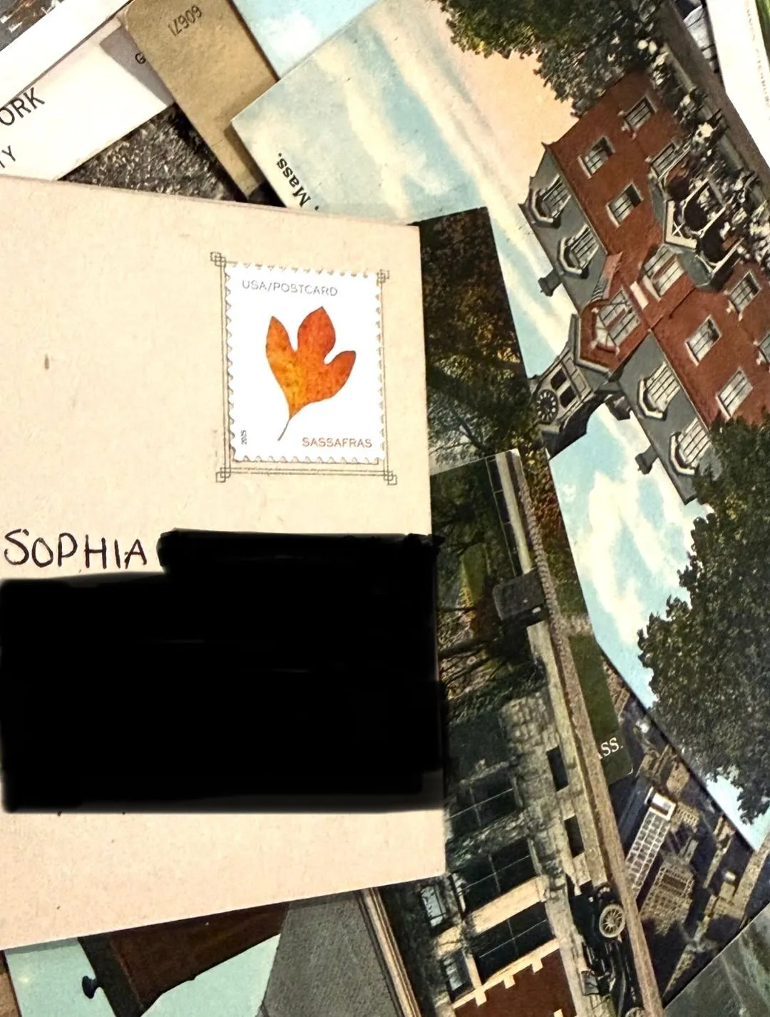 Postcard #163, order confirmation