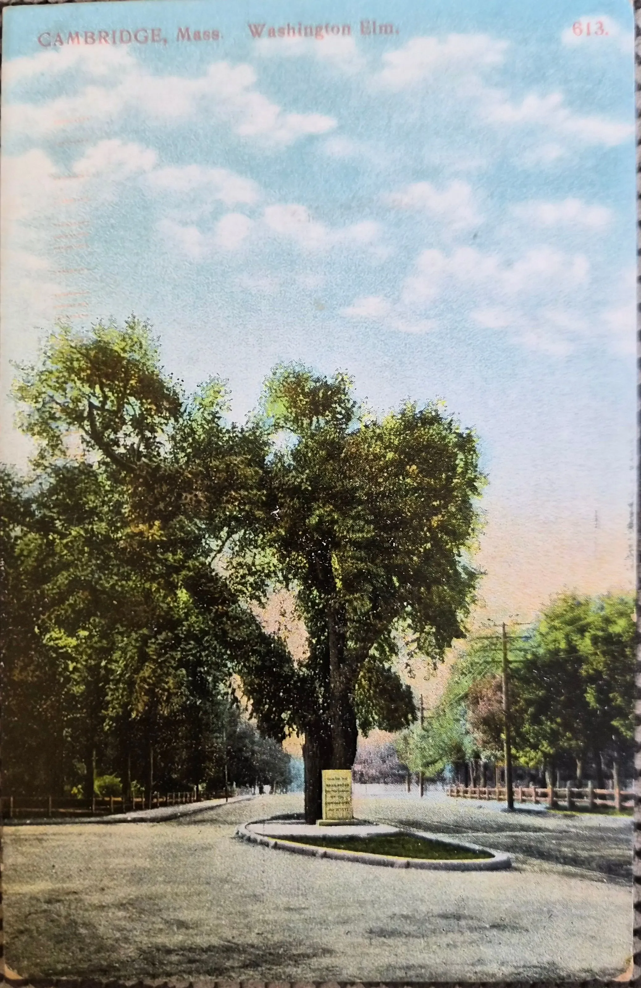 Front of postcard #165