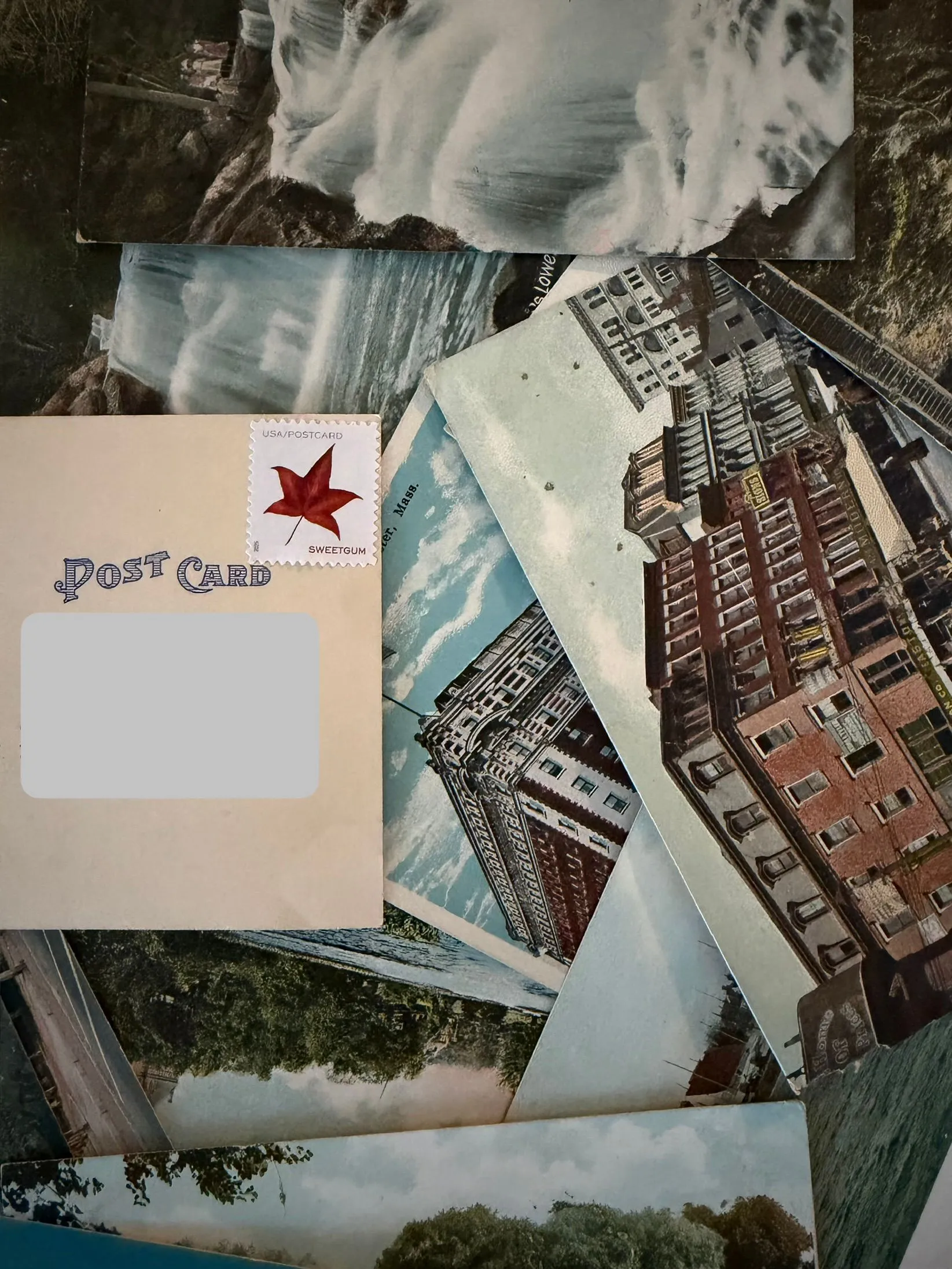 Postcard #207, order confirmation