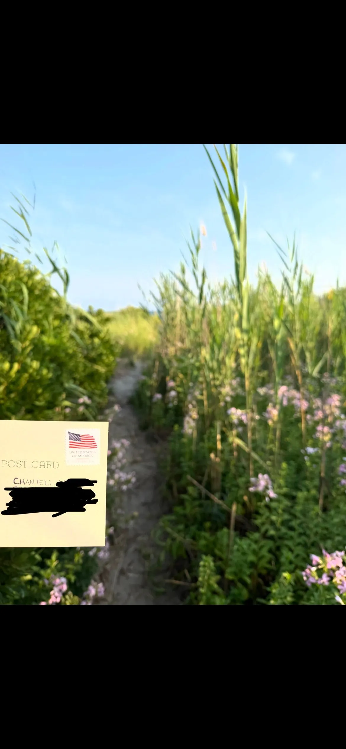Order email image for postcard #44, personal details redacted
