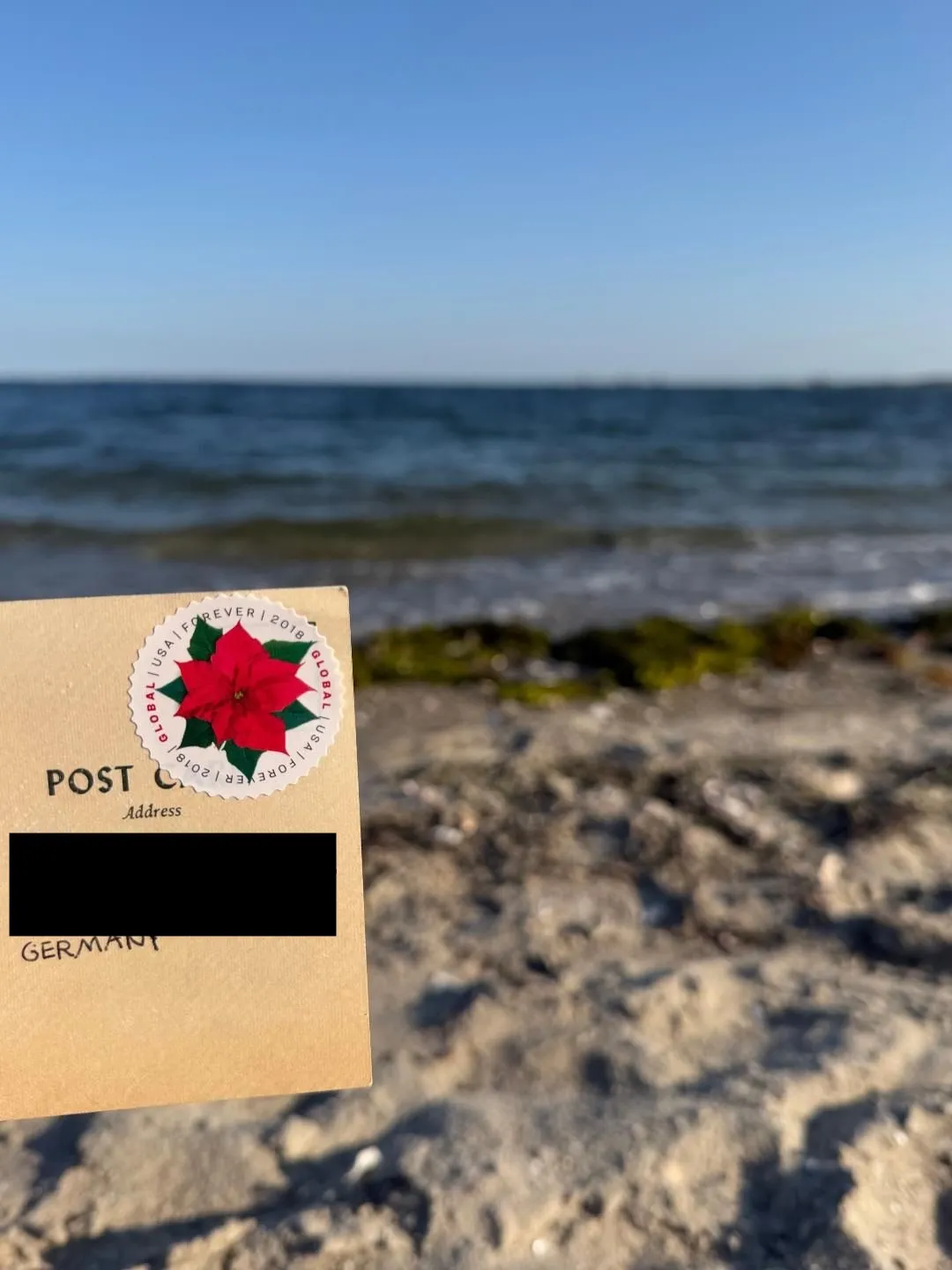 Order email image for postcard #46, personal details redacted