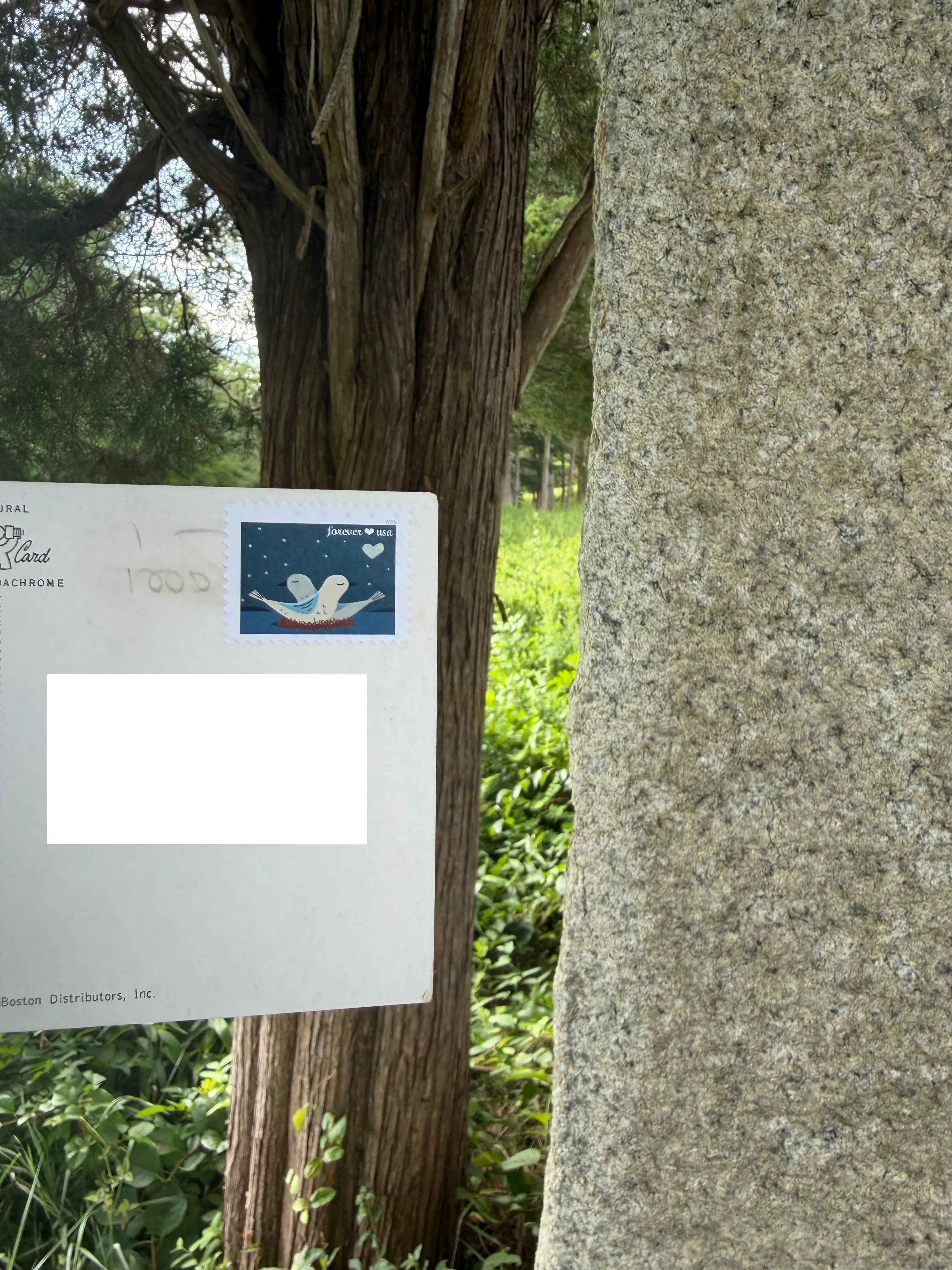 Order email image for postcard #52, personal details redacted