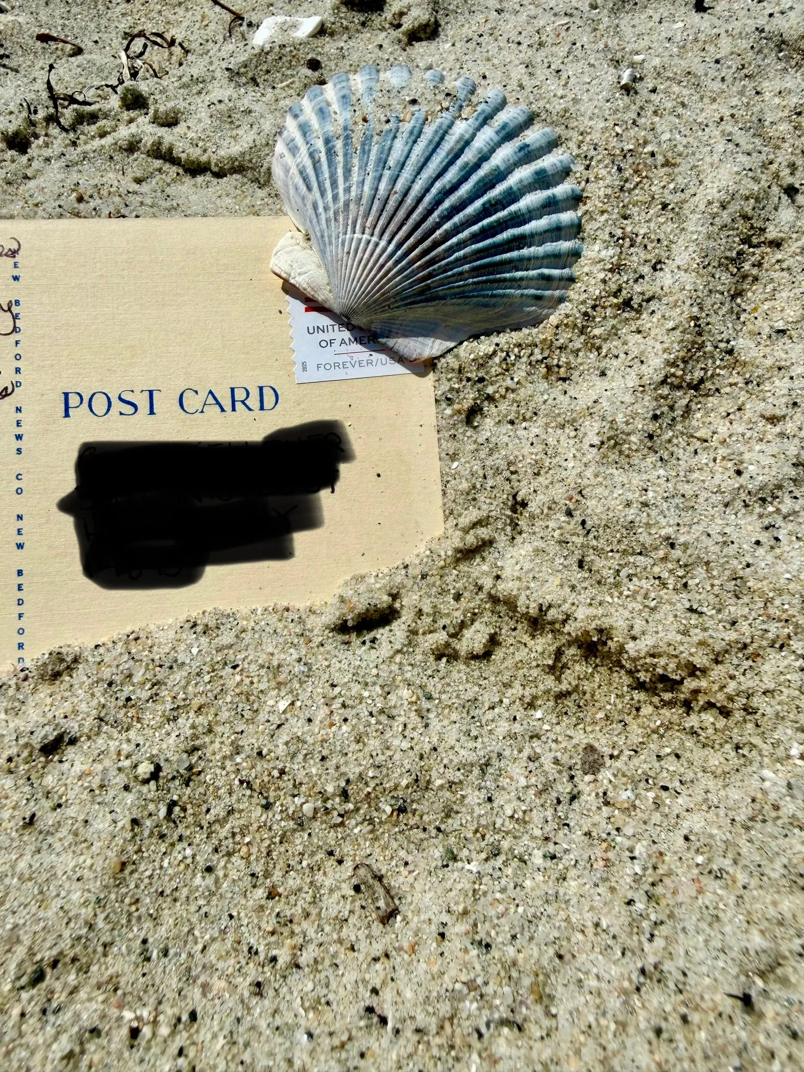 Postcard #59, order confirmation
