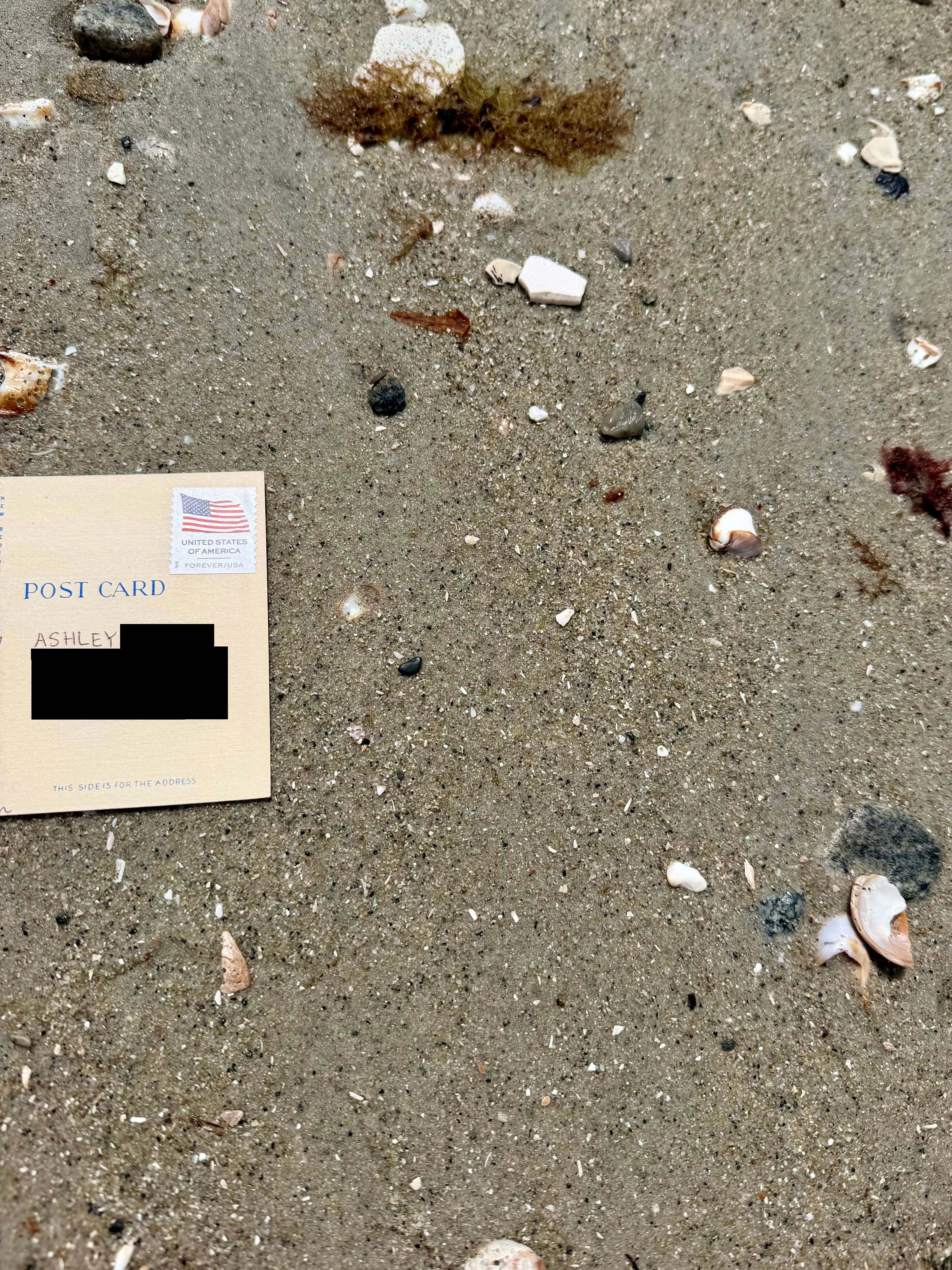 Order email image for postcard #74, personal details redacted