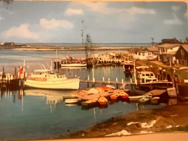 Front of postcard #77