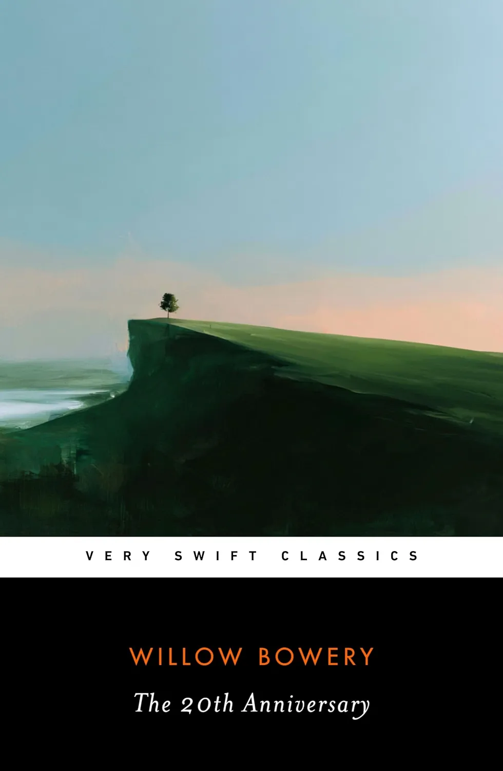 Cover of The 20th Anniversary