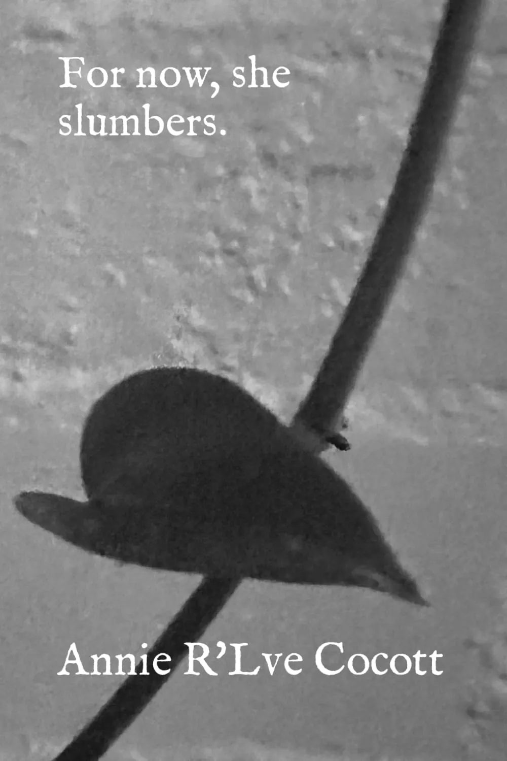 Cover of For now, she slumbers.