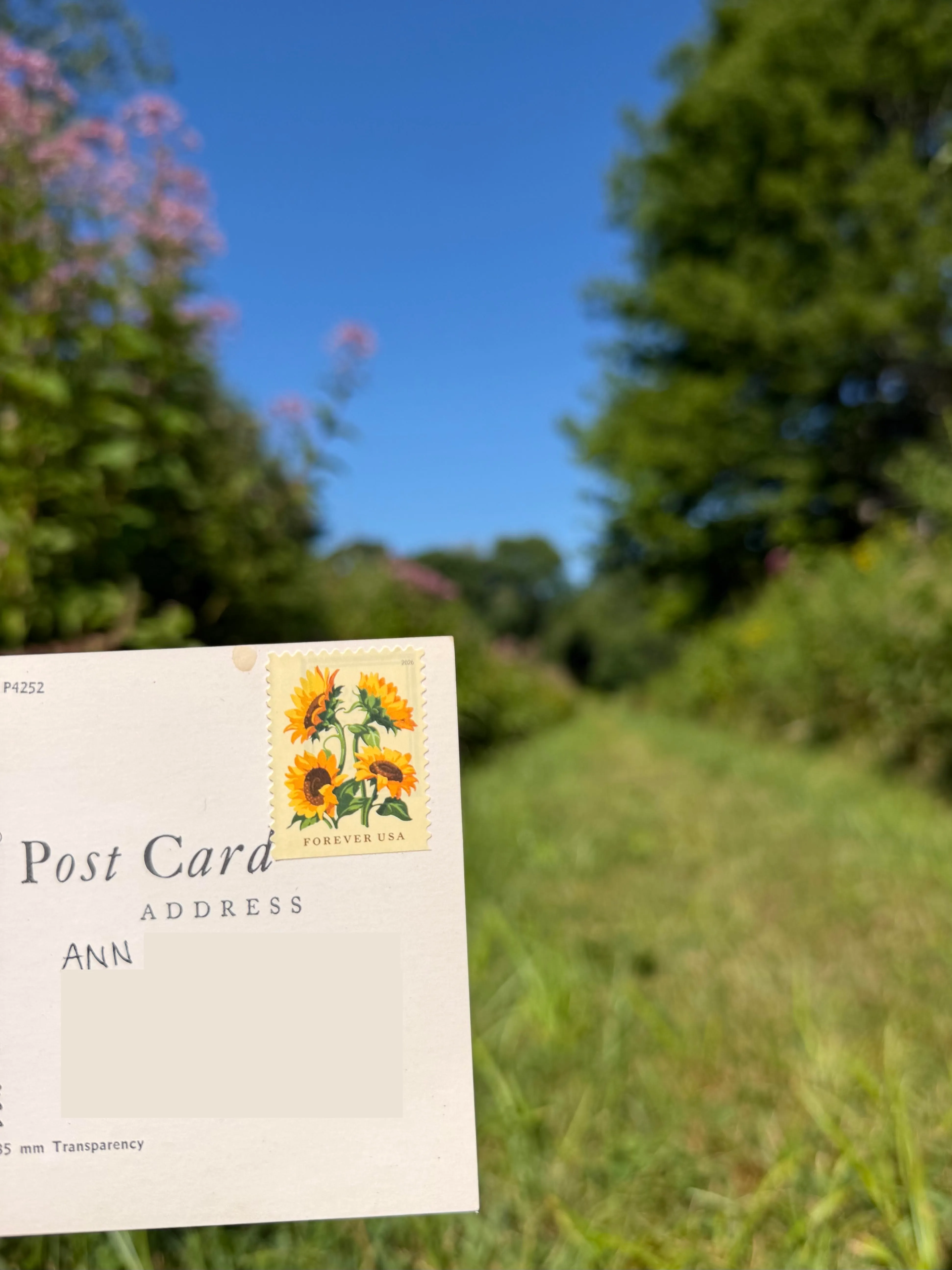 Order email image for postcard an unnumbered card, personal details redacted