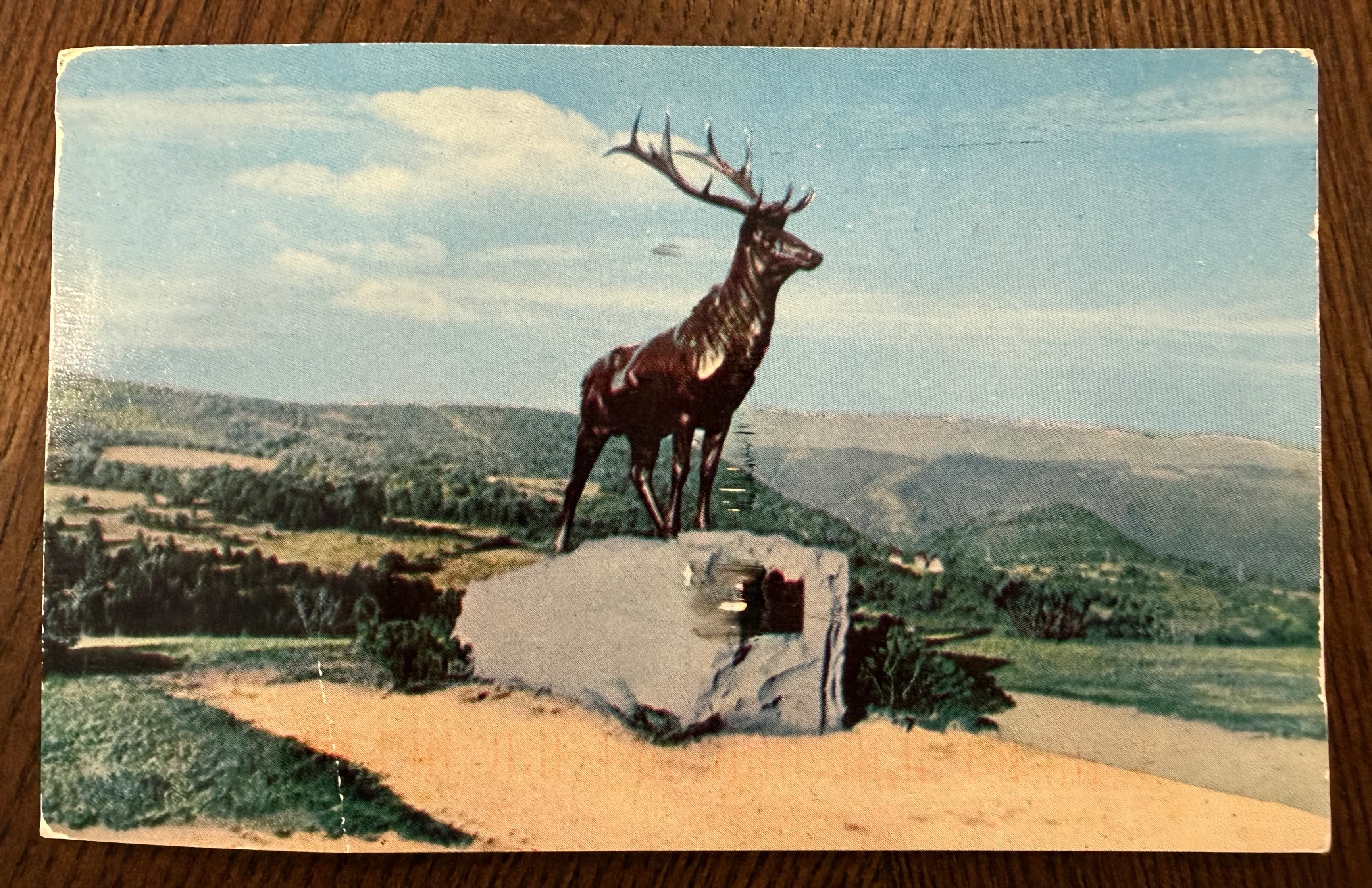 An unnumbered postcard