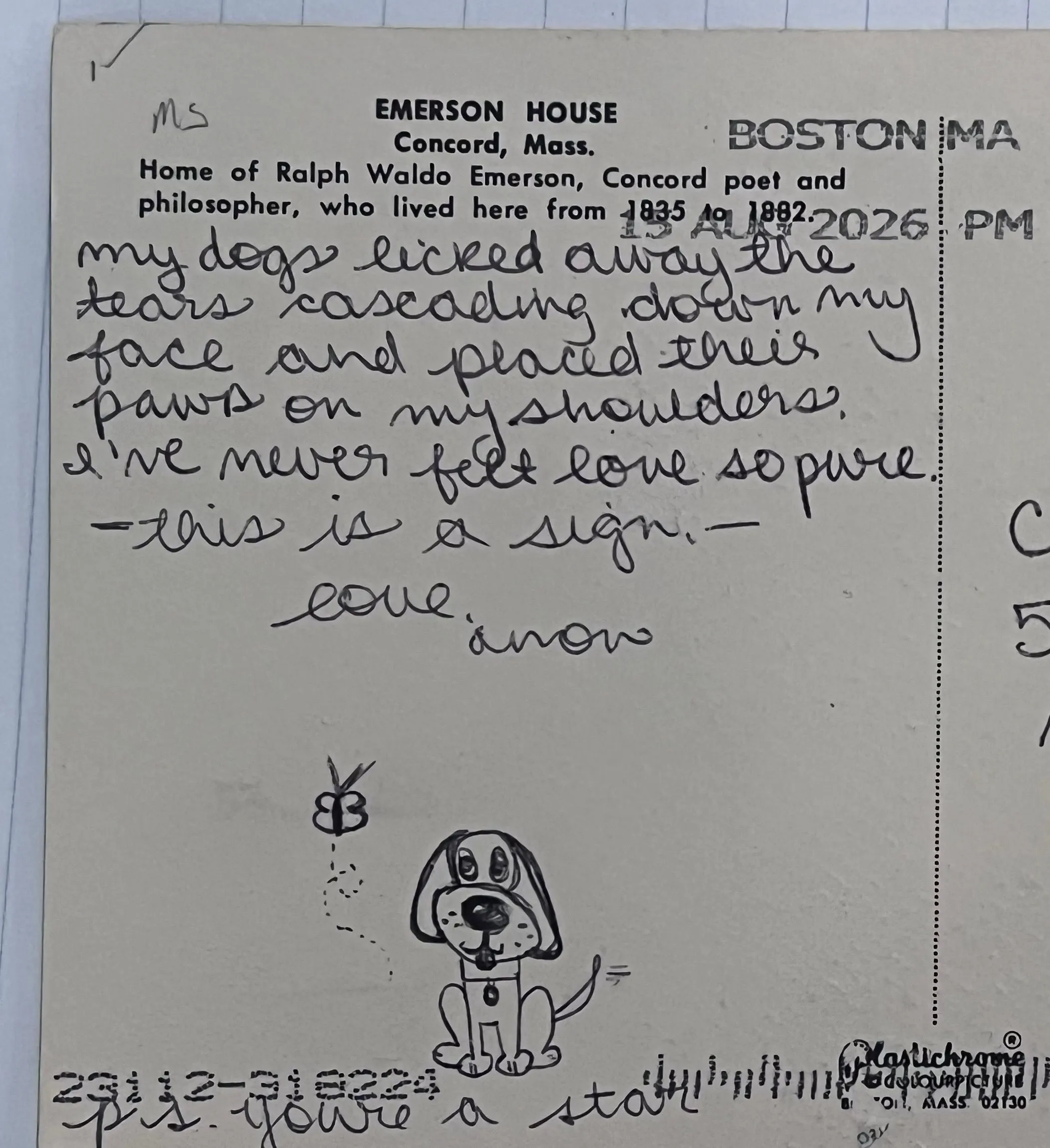 Reverse of postcard an unnumbered card, recipient details redacted