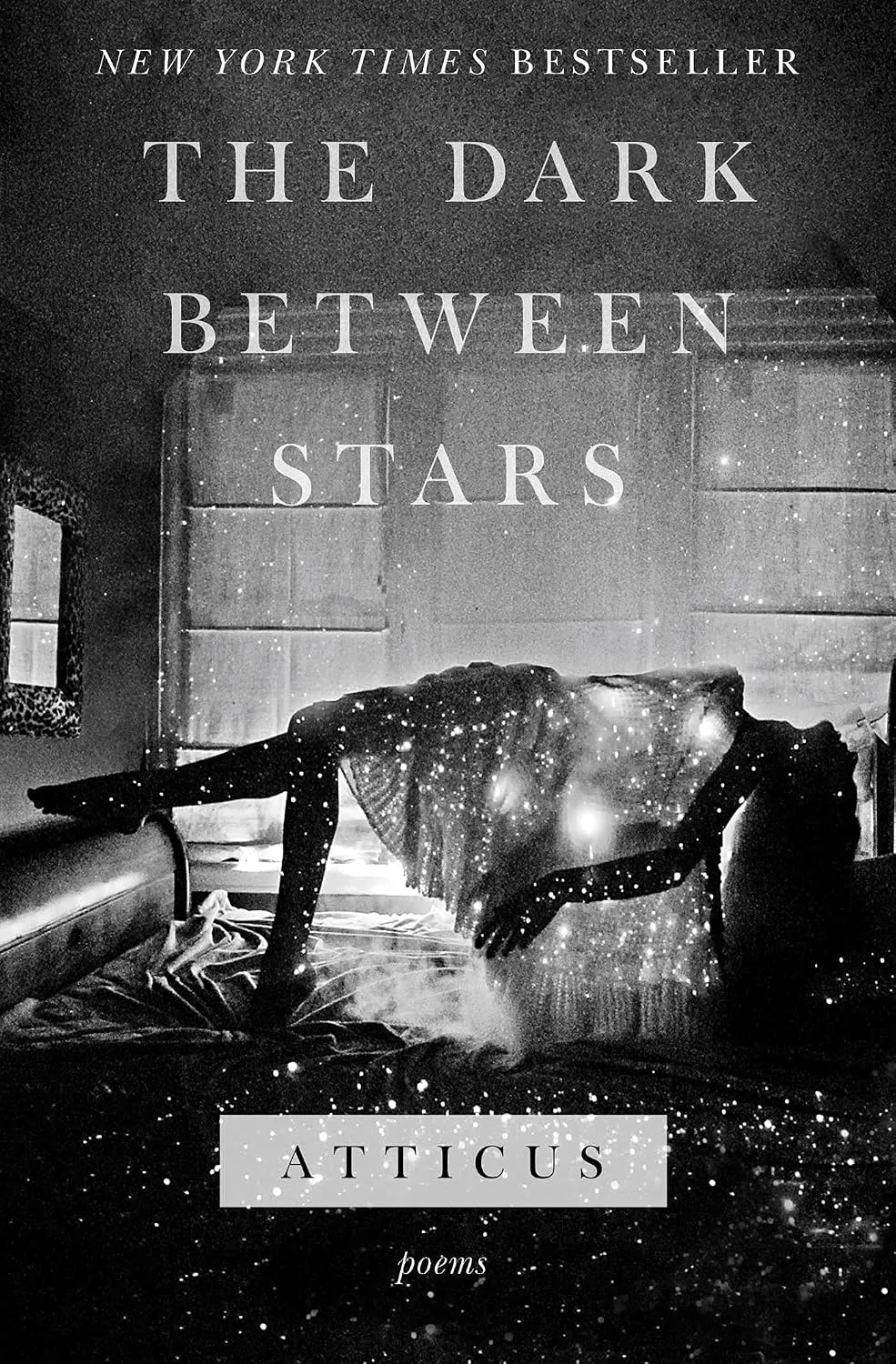 Cover of The Dark Between Stars: Poems