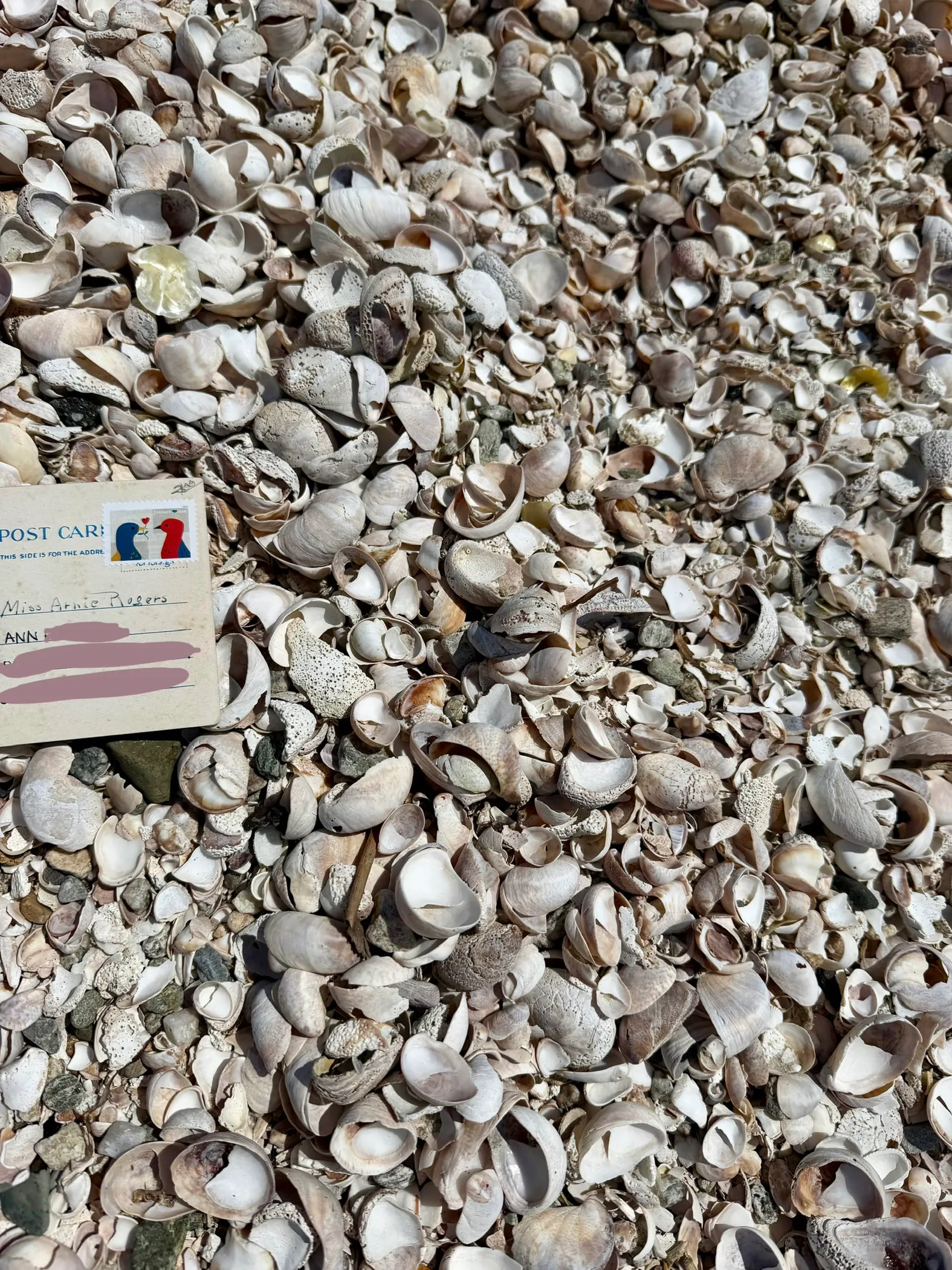 An unnumbered postcard